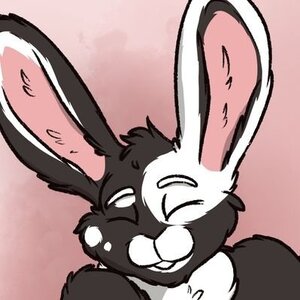 erai bunny profile picture